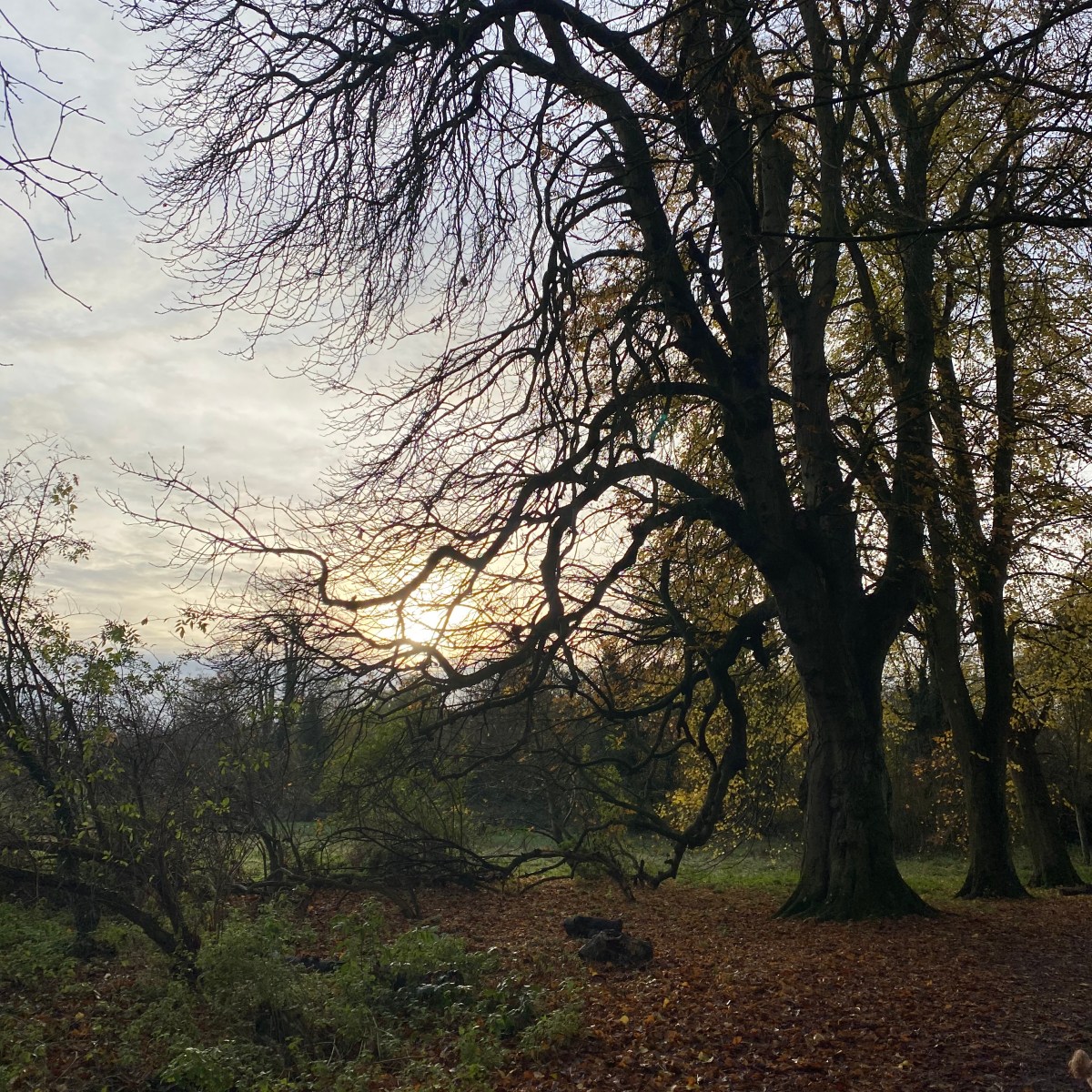 So…What is a Reconnected&nbsp;Woman?